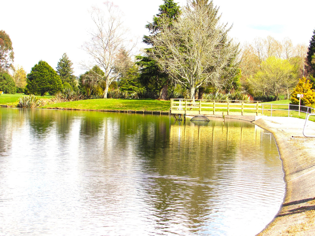 Lake Moananui Reflections.