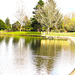 Lake Moananui Reflections.