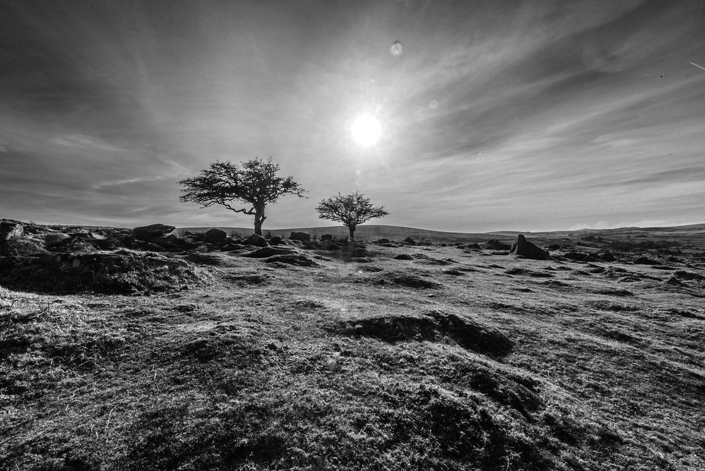 Dartmoor - 20150413