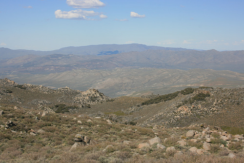IMG 8786