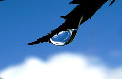 Après la pluie... vient toujours le beau temps,