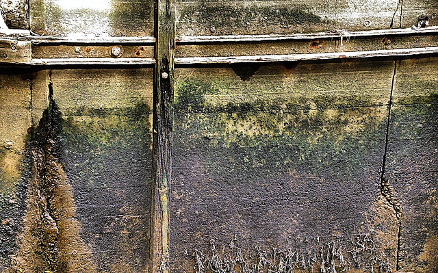 Tide Marks On The Way Down To Willington Gut. N.Tyneside