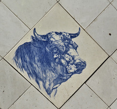 butcher's shop, bull tile, eastry ,kent (2)