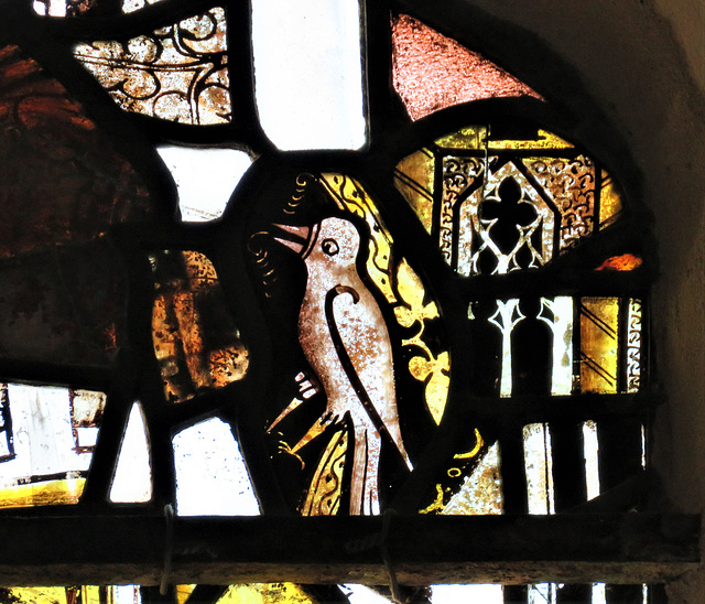 ashdon church, essex, c14 glass fragments with bird