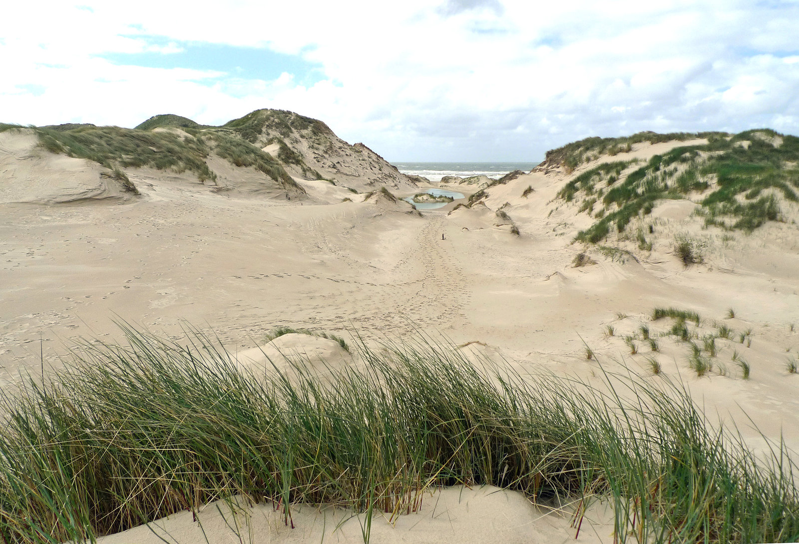 Nederland - Egmond aan Zee, Wimmenummerduinen