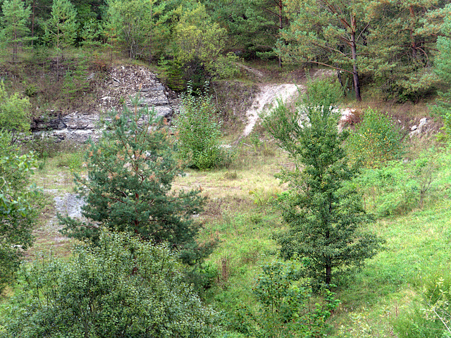 Steinbruch Entringen