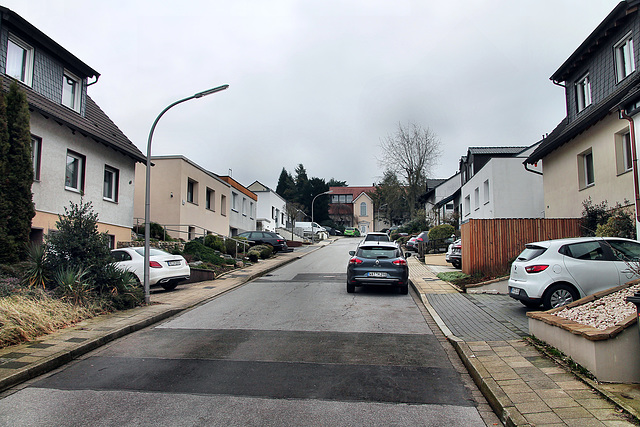 Erlgartenstraße (Wattenscheid-Eppendorf) / 17.02.2024