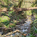 Cwm Cydfin stream