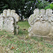cottenham church, cambs  (19) c18 gravestone