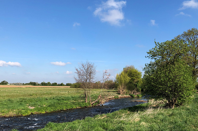 DE - Weilerswist - Frühling an der Erft