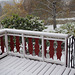 PA300086 - First snow