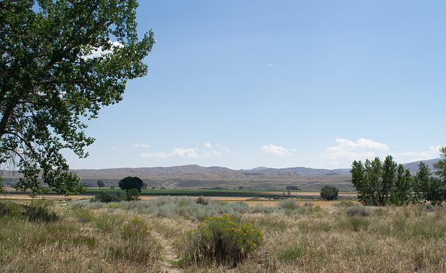 Heart Mountain Interpretive (Relocation) Center WY (#0569)