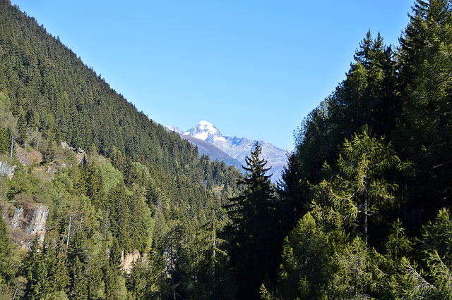 Sicht durch die Lammaschlucht abwärts. Im Hintergrund mir Schnee das Nesthorn 3822 m.ü.M.