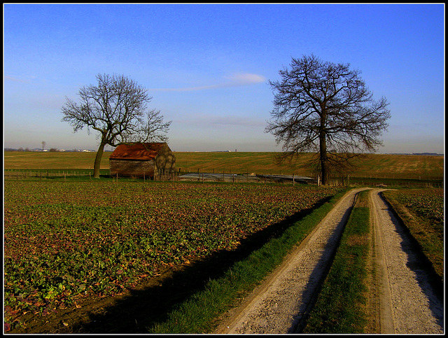 Lost Farm  (de Velde)