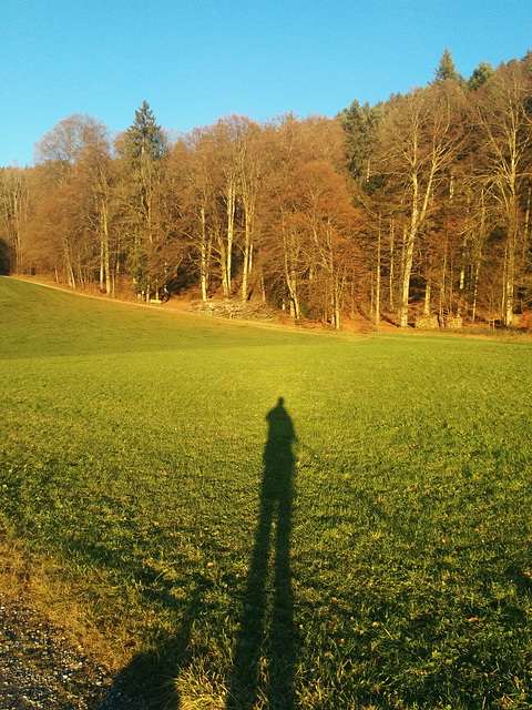 Schatten