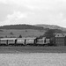 BÖ0033545