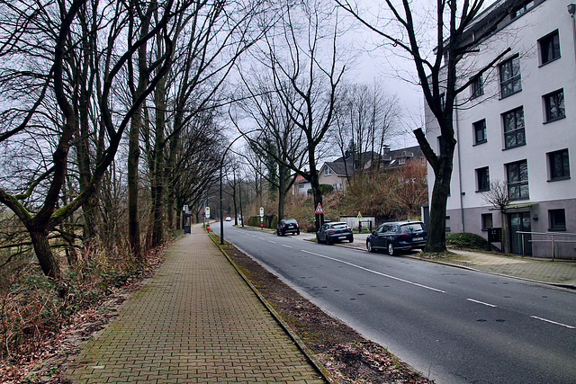 Eppendorfer Straße (Wattenscheid-Eppendorf) / 17.02.2024