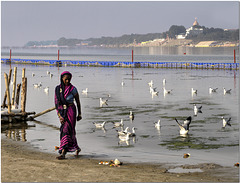 Floral Tribute to The Ganges