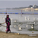 Floral Tribute to The Ganges