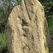 Standing Stone