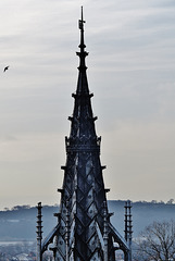 cardiff castle (240)