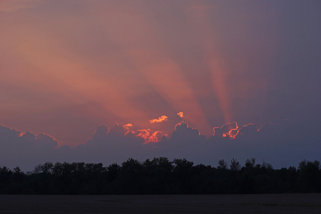 Sunrays