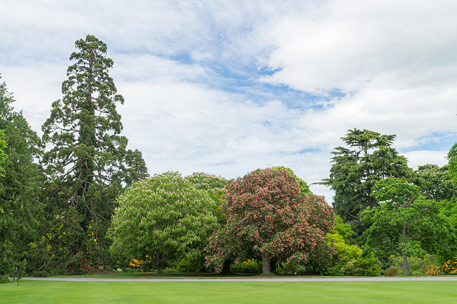 Neuseeland - Christchurch - Botanischer Garten