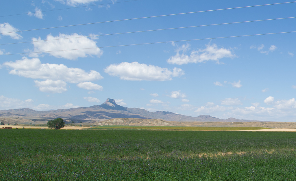 Heart Mountain Interpretive (Relocation) Center WY (#0571)