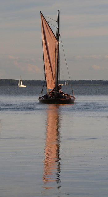 Zeesboot-Törn auf dem Saaler Bodden (bei Wustrow)