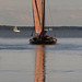 Zeesboot-Törn auf dem Saaler Bodden (bei Wustrow)