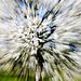 Spring - Exploding Nature