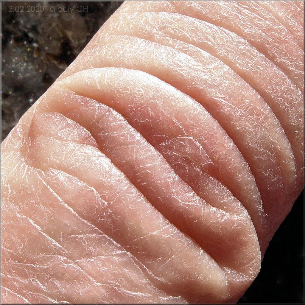 left forefinger