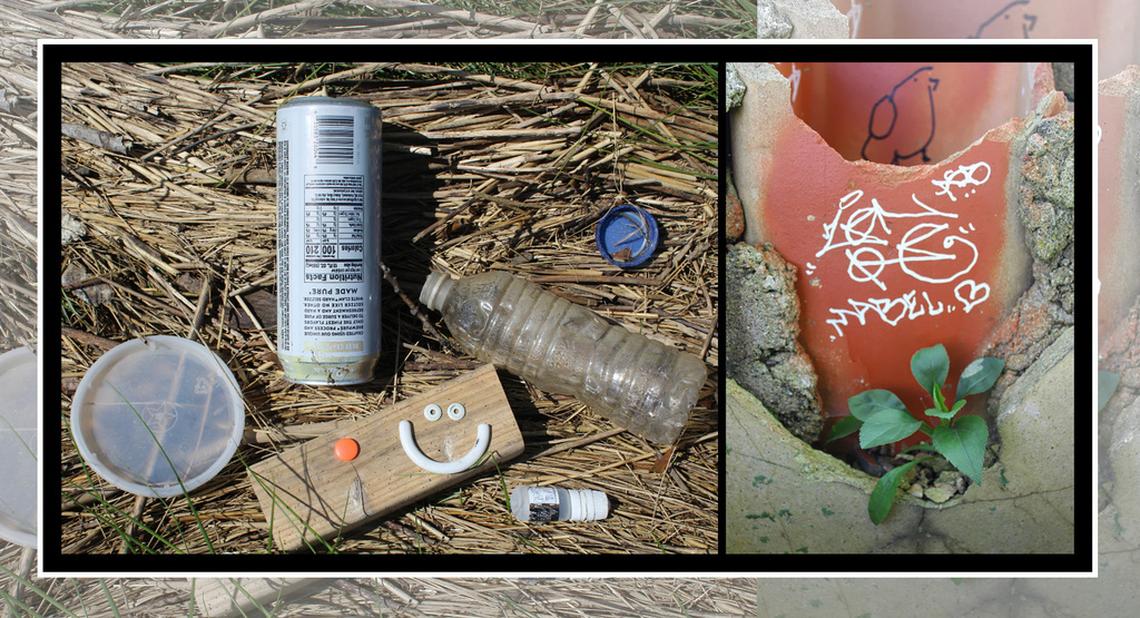 Marine Litter and Graffiti