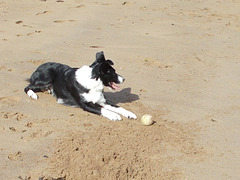 BtC - Bella's Beach Ball {11 of 11}