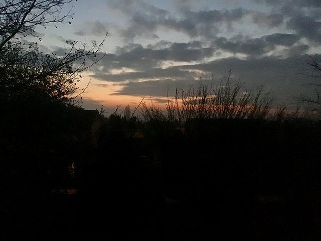 Nouveau petit matin