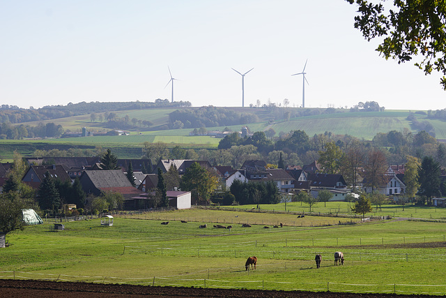 Idyllischer Blick über Hörden nach Elbingerode