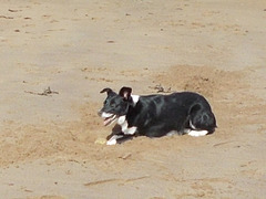 BtC - Bella's Beach Ball {9 of 11}