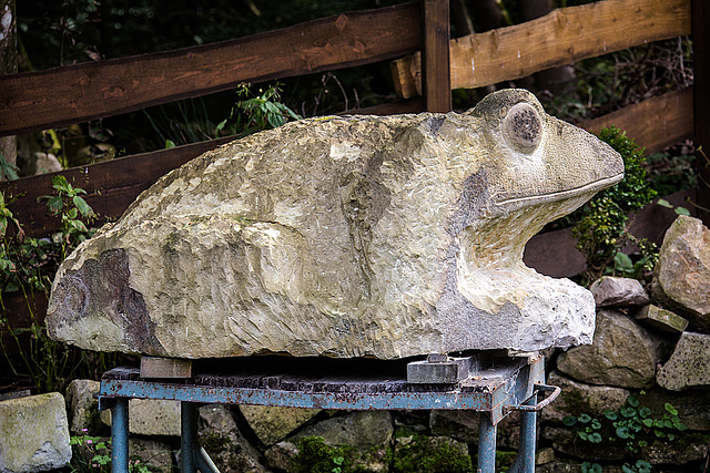 20140928 5574VRAw [D~SHG] Frosch, Skulptur, Paschenburg/Pagenburg, Rinteln, Schaumburg