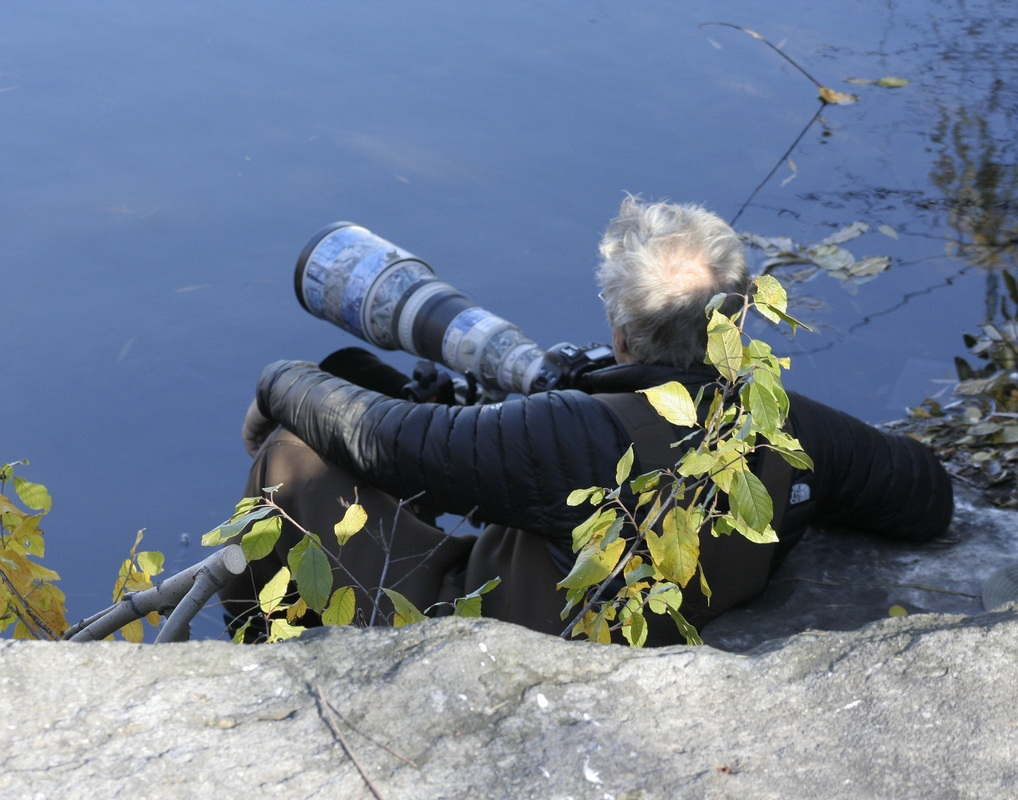 les pieds dans l'eau / wet feet