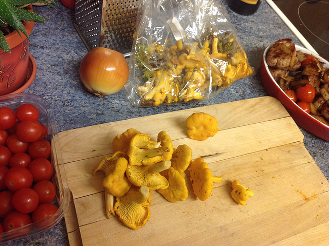 Freshly picked Chanterelles