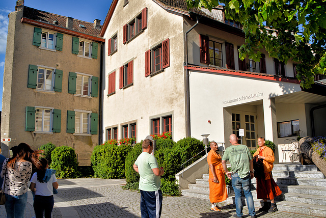Schloss Laufen Rheinfall Schweiz