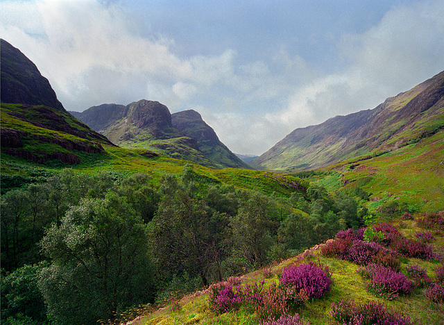 Glencoe