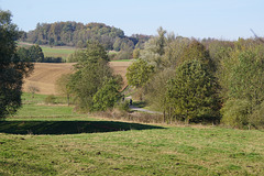 Einsamer Spaziergänger