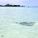 Une sortie sur un îlot de Bora Bora  pip x 2
