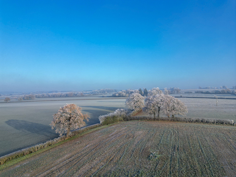 Cold and icy