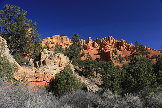 Red Canyon Red Canyon