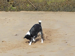 BtC - Bella's Beach Ball {7 of 11}