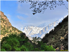 Ourika1
