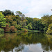 Nymphäenteich nahe Schloss Berge (Gelsenkirchen-Buer) / 27.09.2025 Nymphäenteich nahe Schloss Berge (Gelsenkirchen-Buer) / 27.09.2025