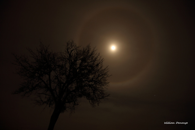 Halo lunaire